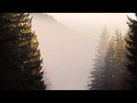 TRAKAN HILANG LIRIK- EMON3D5