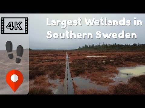 【4K60】Relaxing Solo Hike in Rural Sweden | Store Mosse National Park 🇸🇪