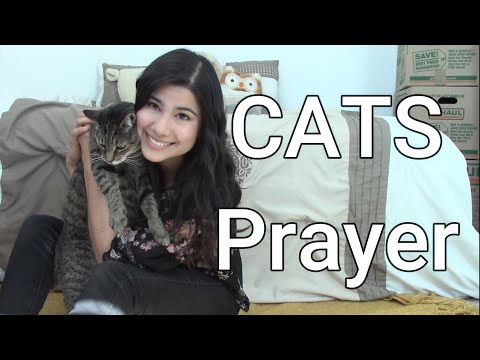 CATS Prayer | Prayer + Meet Mia