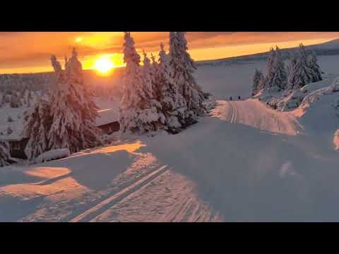 Cross Country Skiing in Norway