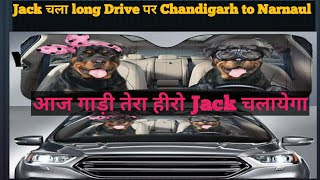 HOW TO TRAVEL LONG DISTANCE WITH A DOG IN CAR #rottweiler #creta#trending #Jack trip vlog Chandigarh