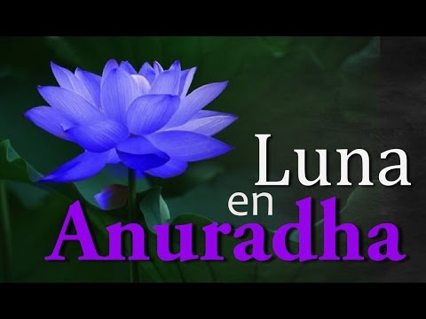 ANURADHA NAKSHATRA - LUNA o ASC.
