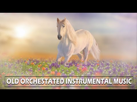 BELLISIMAS MELODIAS INMORTALES A GRAN ORQUESTA - ORQUESTACIONES MAGISTRALES PARA EXITOS DEL RECUERDO