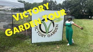 A Gigantic watermelon and garden tour !!