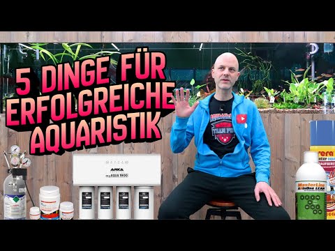 Diese 5 Dinge machen den Unterschied | Bring dein Aquarium auf ein neues Level