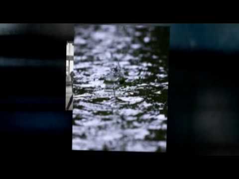 汪峰：In The Rain 在雨中 a song by Chinese singer Wang Feng