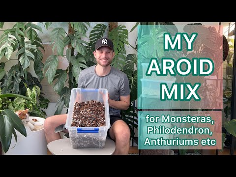 My Aroid mix for Monsteras, Philodendron, Anthuriums etc #tutorial