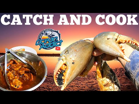 Ocean Addict Ep 50 - GIANT MUD CRAB - Catch and cook chilli crab(How to find Mud Crabs)