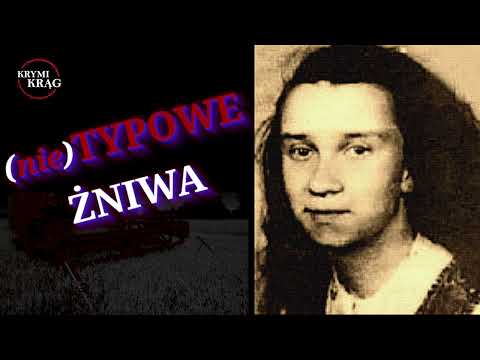 (Un)TYPICAL HARVEST. THE CASE OF IWONA TYTULSKA | KrymiKrąg | #45