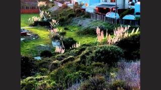 Sean McCann - Academy Hall