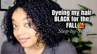 How I Safely Dye My Natural Hair Black for the Fall | Easy Step-by-Step Tutorial | NO DAMAGE