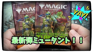 ミュータントタートルズ開けてくぞ！マジックザギャザリング、mtg