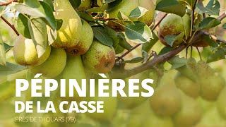 preview picture of video 'Pépinière de la casse, plantes, arbres fruitiers à THOUARS (79)'