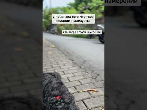 2 признака, что твое желание реализуется #shorts #коучинг #исполнениежеланий