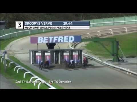 2018 MSCN ECLIPSE STAKES - HEAT 3 - T3 DROOPYS VERVE