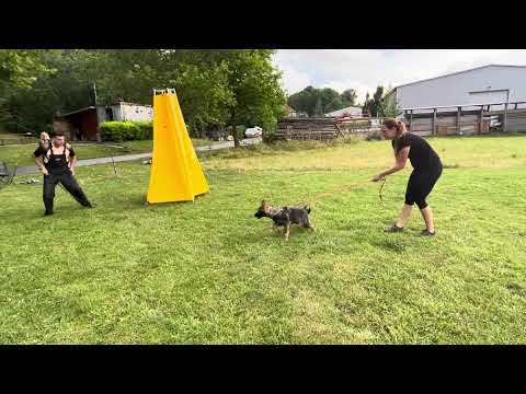 Merily z Jukasu - protection training - 5 months