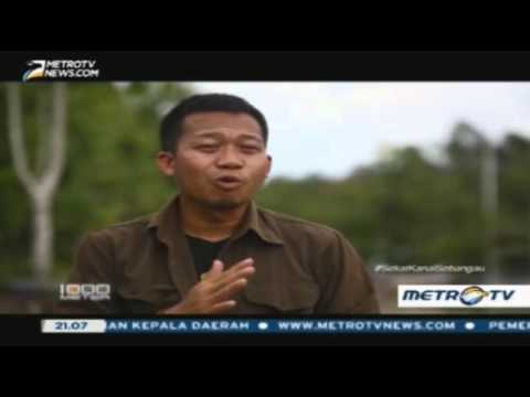 restorasi sebangau 1