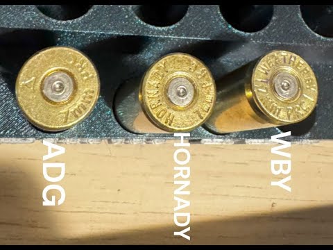 Which HORNADY Ammo is the Most Accurate?
