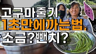 고구마 껍질 1초만에 초간단 쉽게까는법, 소금물? 뺀치? - sweet potato vines