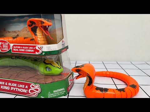 Zuru Robo Alive King Python VS King Cobra Toys Unboxing