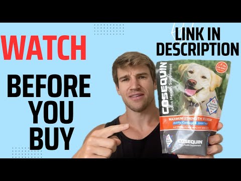 Honest Review of the Cosequin Joint Health Supplement for Dogs