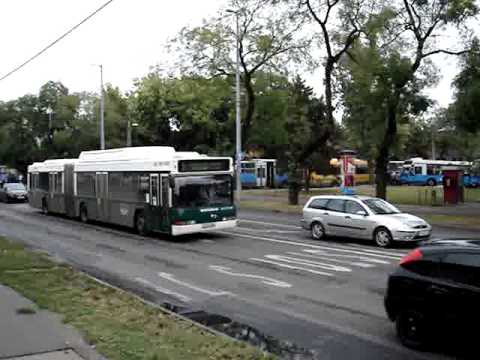 Neoplan N4021/3 JCX-253