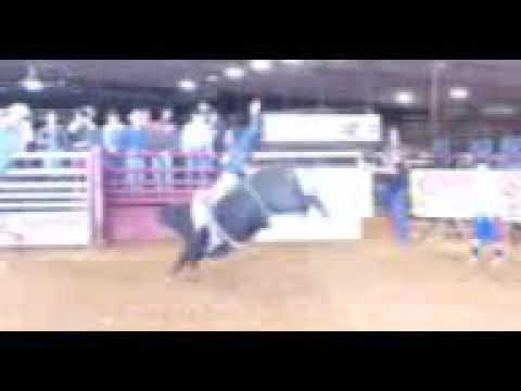Ronny kitchens bull riding