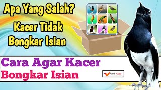 Download lagu CARA AGAR KACER BONGKAR ISIAN... mp3