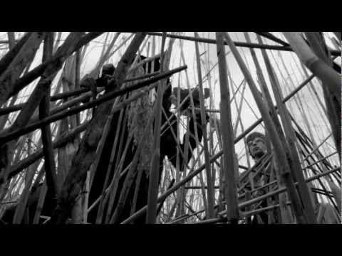 STEREOFACE - The Soil