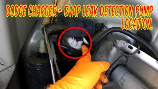 Dodge Charger, EVAP Leak Detection Pump Location