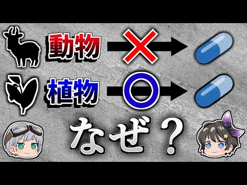植物はどのようにして真菌感染症から身を守るのか