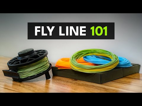 Fly Line Explained — Fly Fishing Gear for Beginners