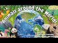 Animal Learning Around The World Pandas Lions Elephants Cows More Preschool ESL Video