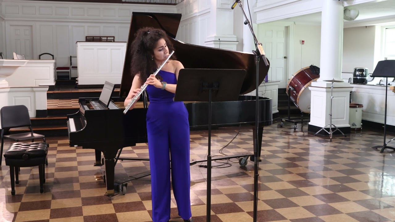 Promotional video thumbnail 1 for Enchanting Flute Melodies