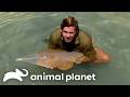 Steve Basks In The Sea The Crocodile Hunter Animal Planet