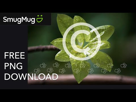 How to apply / create a watermark on a SmugMug gallery FREE PNG Download to use - SmugMug Tutorial