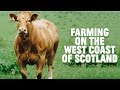 Farming On The West Coast Of Scotland