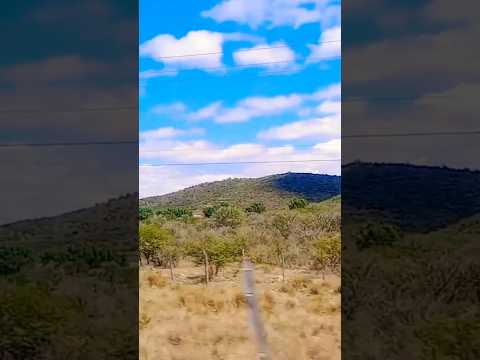 Taninga, Provincia de Córdoba, Argentina.#taninga