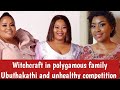 Witchcraft in Polygamous family: Uthando Nesthembu latest : The Mseleku wives
