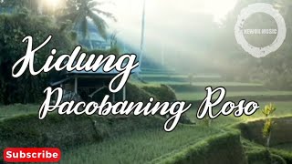 Download lagu kidung Pacobaning Roso - Niken Salindry | Reupload mp3