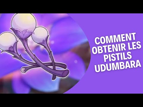 How to get UDUMBARA pistils! | Genshin Impact