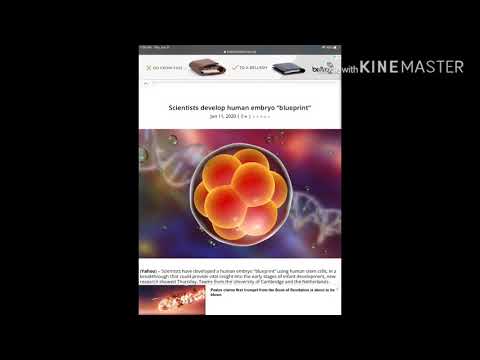 ‼️READ BETWEEN THE LINES‼️ holy spirit outpouring! | #lionsofisrael #childrenofitsrealouthereyahi