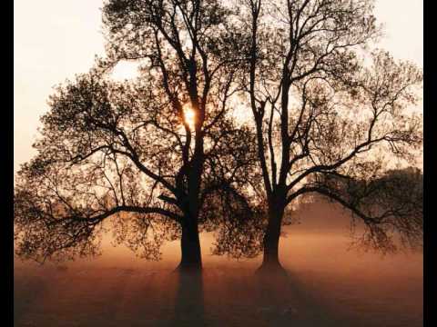 The Henrik Hanström Quartet: Tones for Elvin Jones