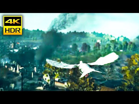 Pigeon Beautiful Mission from Battlefield™1 [PS5™4K HDR]