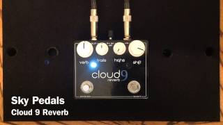 Video thumbnail for Sky Pedals Cloud 9 Reverb by Curtis Kent