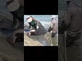 Giant Grouper Adventure  Stunning Catch, Masterful Cutting, and Irresistible Cooking with Gorgeous C