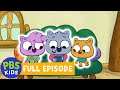 Work It Out Wombats! FULL EPISODE | Snout and About/Zadie’s Shell Shuffle | PBS KIDS