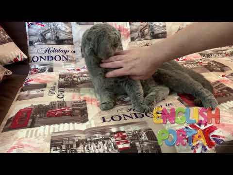 Alice's Stories - Goldilocks and Three Bears