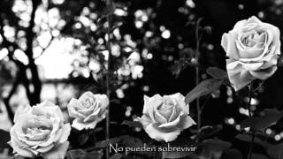 Coma Cinema - Her Sinking Sun (Sub. Español)