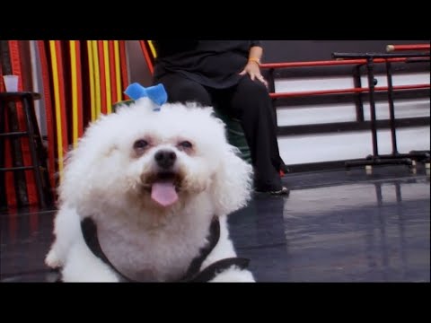 Broadway Baby Visits The Studio | Dance Moms Season 1 Episode 6
